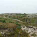 Seventeen Mile Drive
