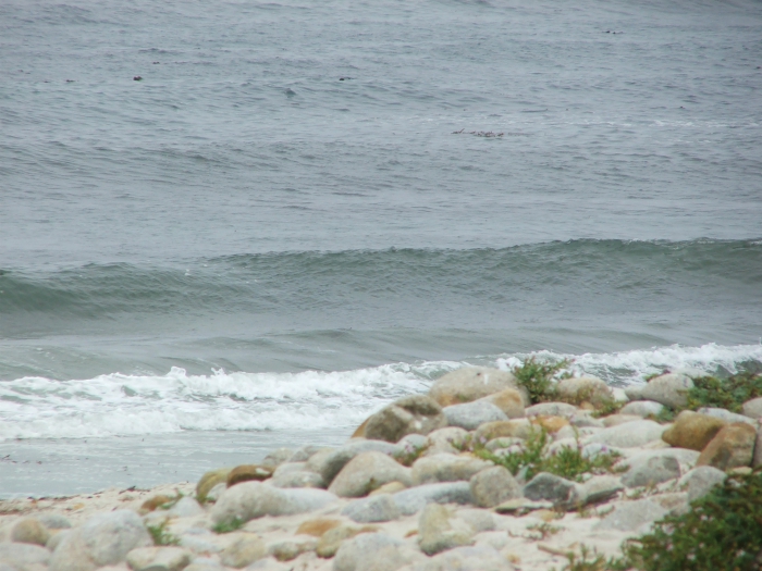 Seventeen Mile Drive