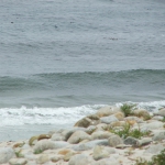 Seventeen Mile Drive