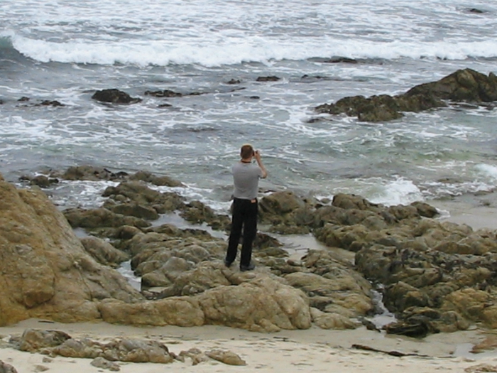 Seventeen Mile Drive