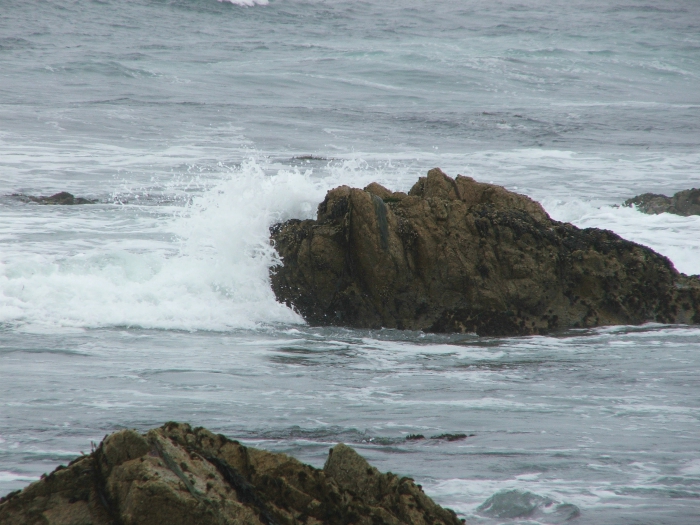 Seventeen Mile Drive