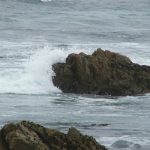 Seventeen Mile Drive