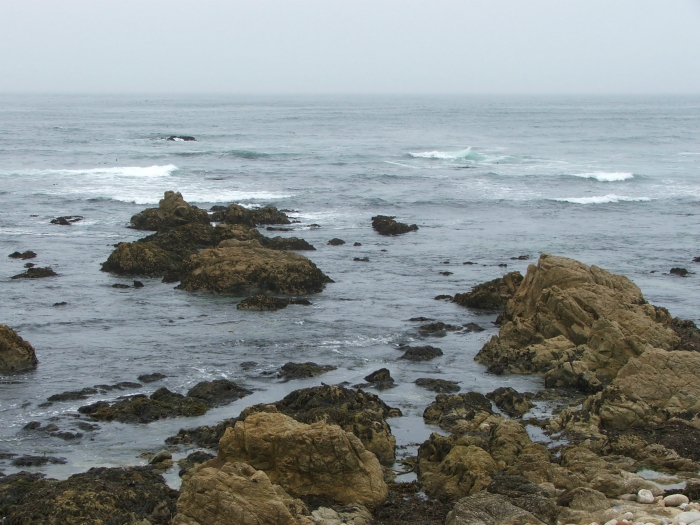 Seventeen Mile Drive