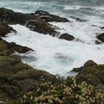 Seventeen Mile Drive