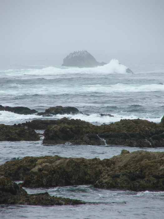 Seventeen Mile Drive