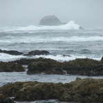 Seventeen Mile Drive
