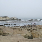 Seventeen Mile Drive