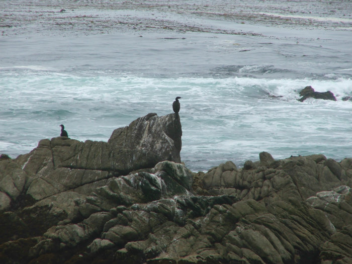 Seventeen Mile Drive