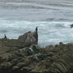Seventeen Mile Drive