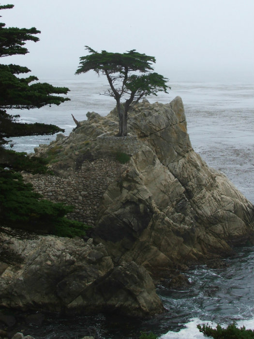 Seventeen Mile Drive