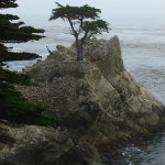 Seventeen Mile Drive