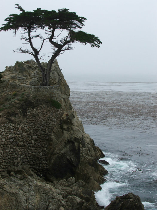 Seventeen Mile Drive