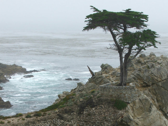 Seventeen Mile Drive