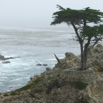 Seventeen Mile Drive