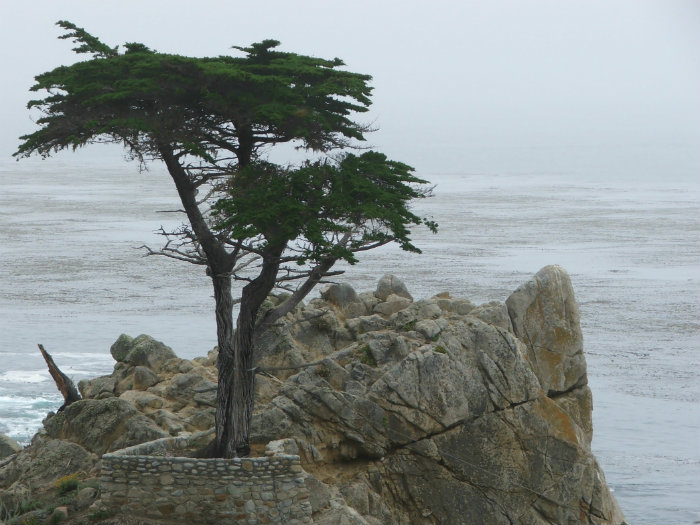 Seventeen Mile Drive