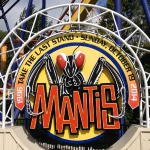 Mantis