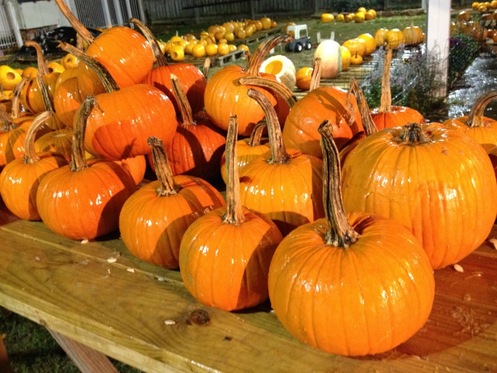 Pumpkin House
