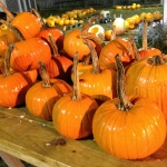 Pumpkin House