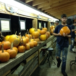 Pumpkin House