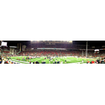 Buckeyes