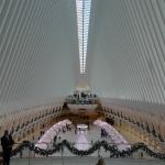 Oculus