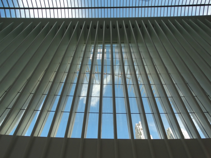 Oculus
