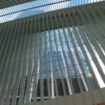 Oculus