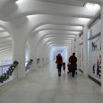 Oculus