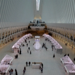 Oculus