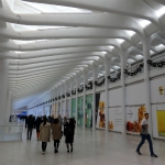 Oculus