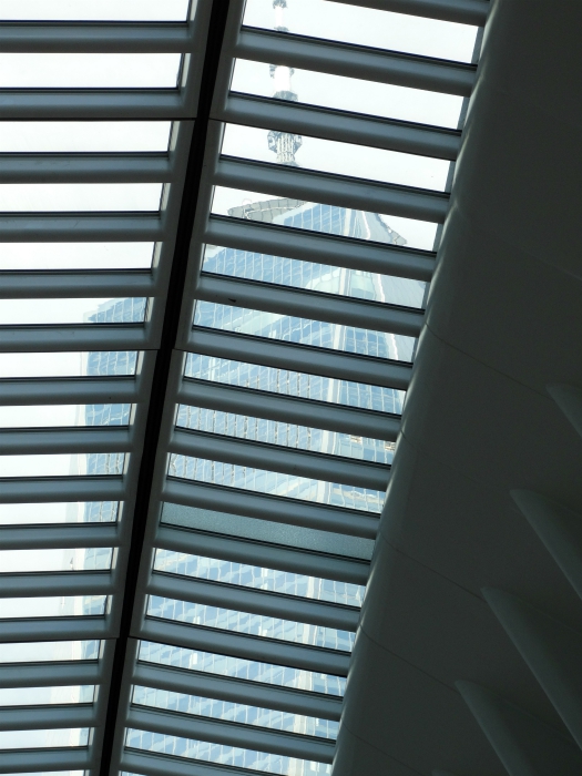 Oculus