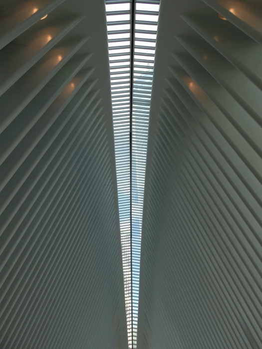 Oculus