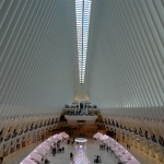 Oculus