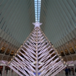 Oculus