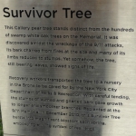 September 11 Memorial