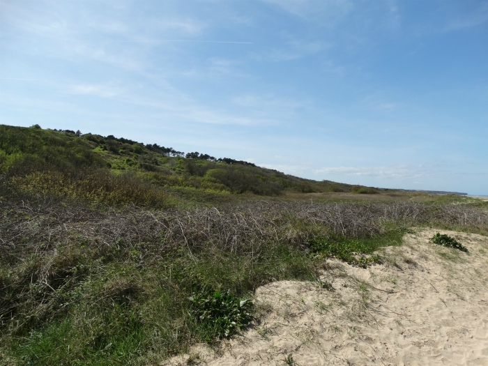 Omaha Beach