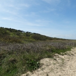 Omaha Beach