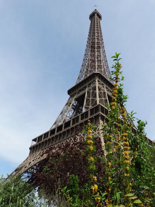 Eiffel Tower