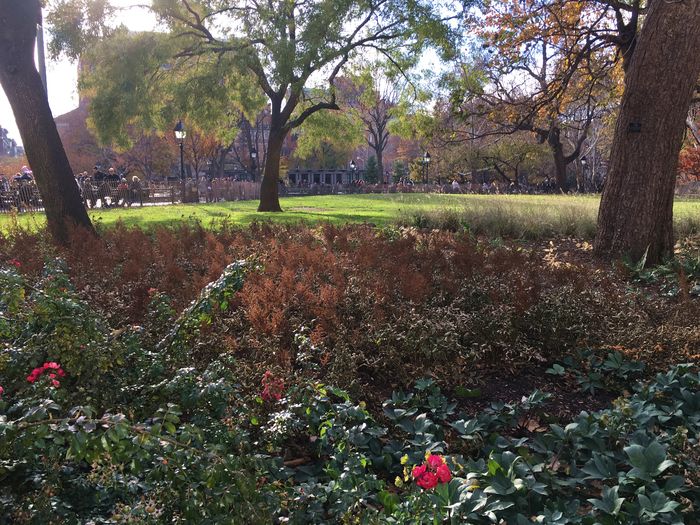 Washington Square Park