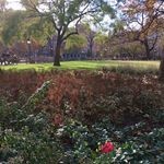 Washington Square Park