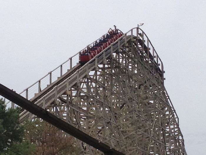 Timber Wolf
