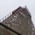 Timber Wolf