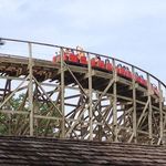 Timber Wolf