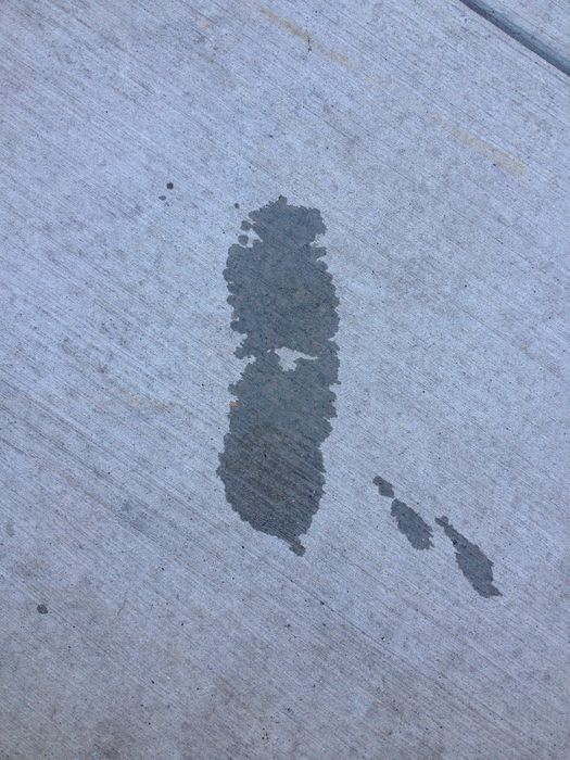 My Footprint