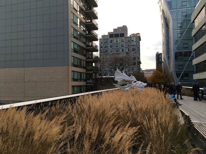 High Line