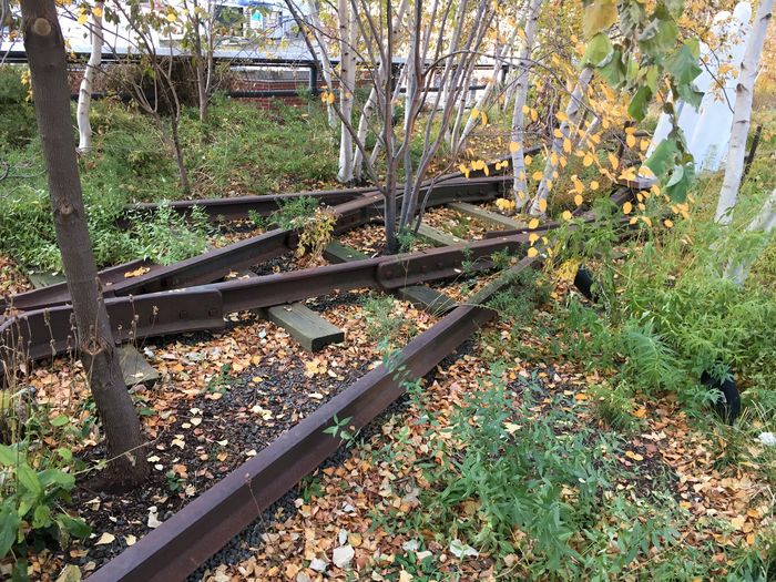 High Line