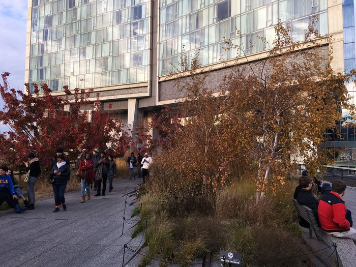 High Line