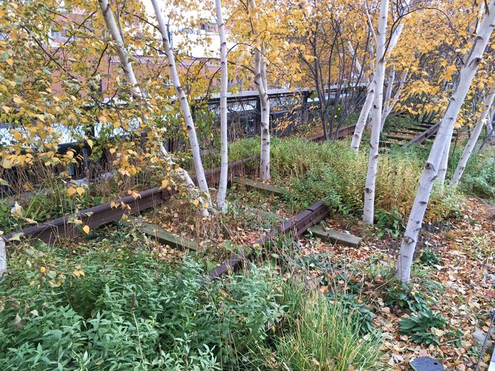 High Line
