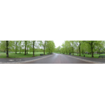 Greenwich Park