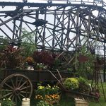 Cedar Creek Mine Ride